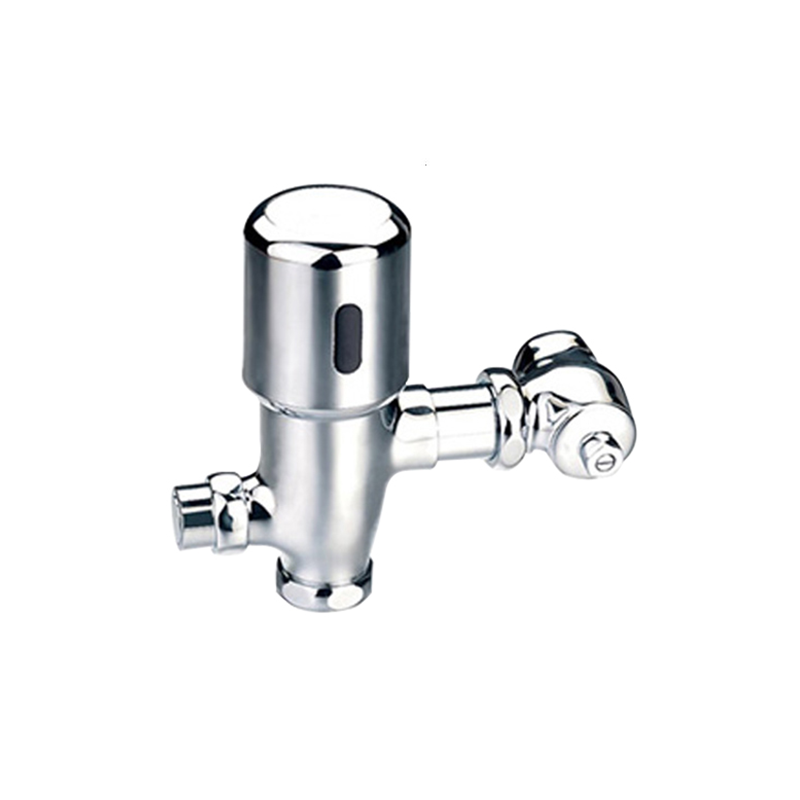 Automatic Toilet Flusher-Disclosed